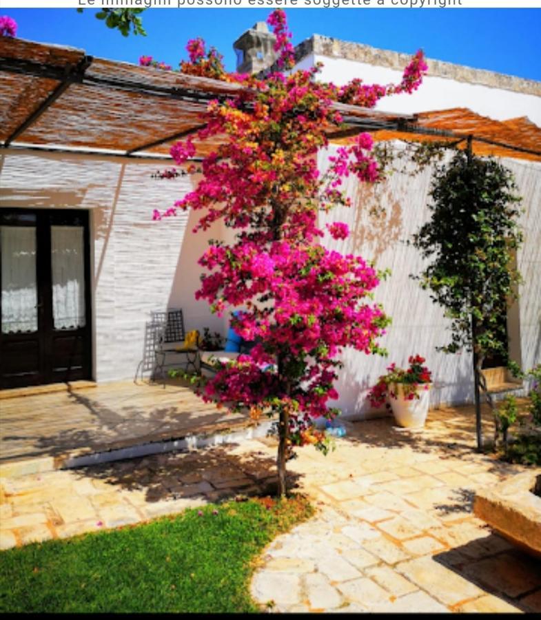 Room In Bb - Stunning Quadruple Room In Ancient Masseria Near The Sea In A Quiet Olive Trees Ostuni Eksteriør bilde