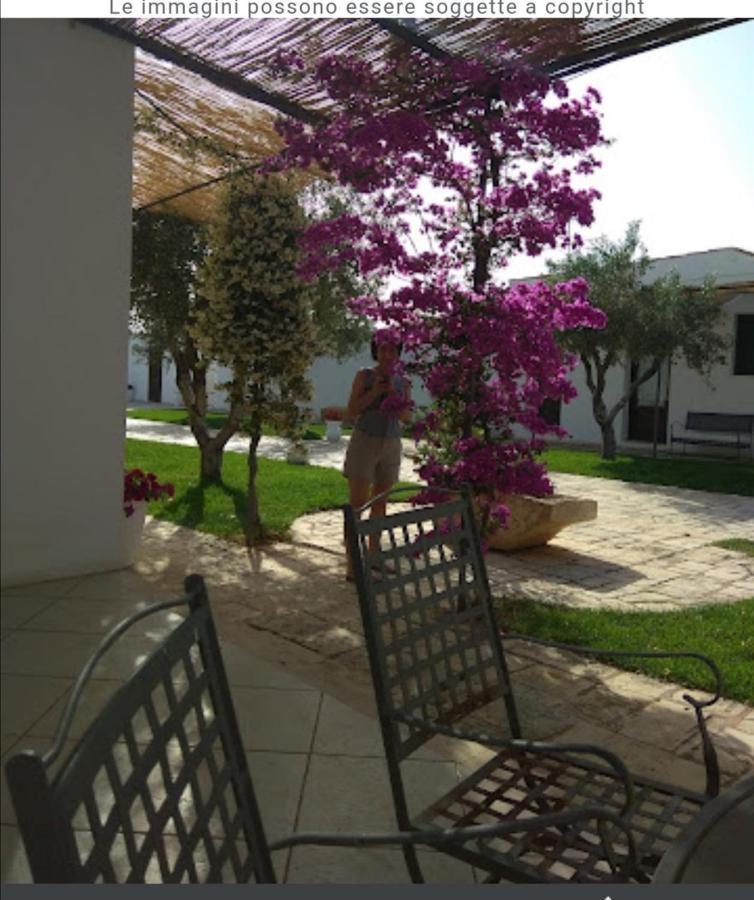 Room In Bb - Stunning Quadruple Room In Ancient Masseria Near The Sea In A Quiet Olive Trees Ostuni Eksteriør bilde