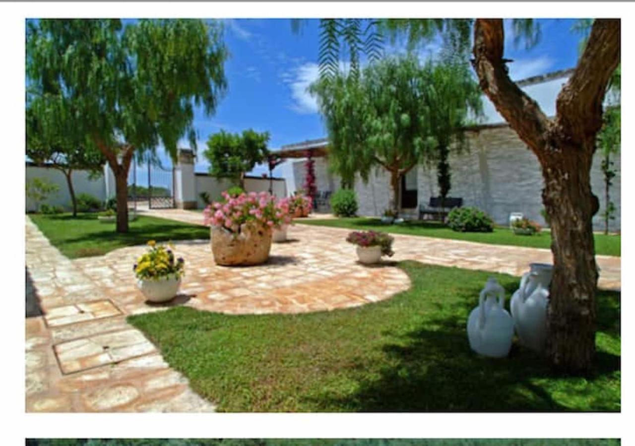 Room In Bb - Stunning Quadruple Room In Ancient Masseria Near The Sea In A Quiet Olive Trees Ostuni Eksteriør bilde